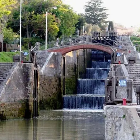Les Yuccas Cazouls-lès-Béziers