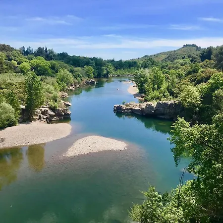 Les Yuccas Cazouls-lès-Béziers