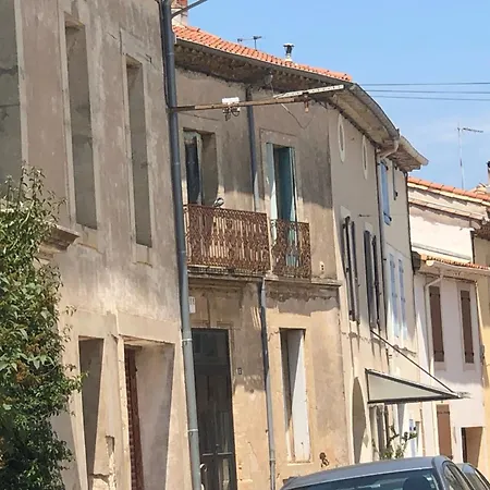 Les Yuccas Cazouls-lès-Béziers